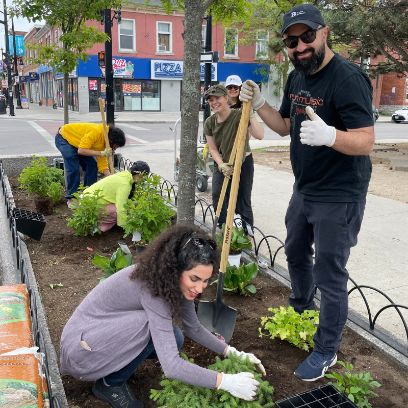 Volunteer For Downtown Kingston Events And Projects volunteer-for-downtown-kingston-events-and-projects