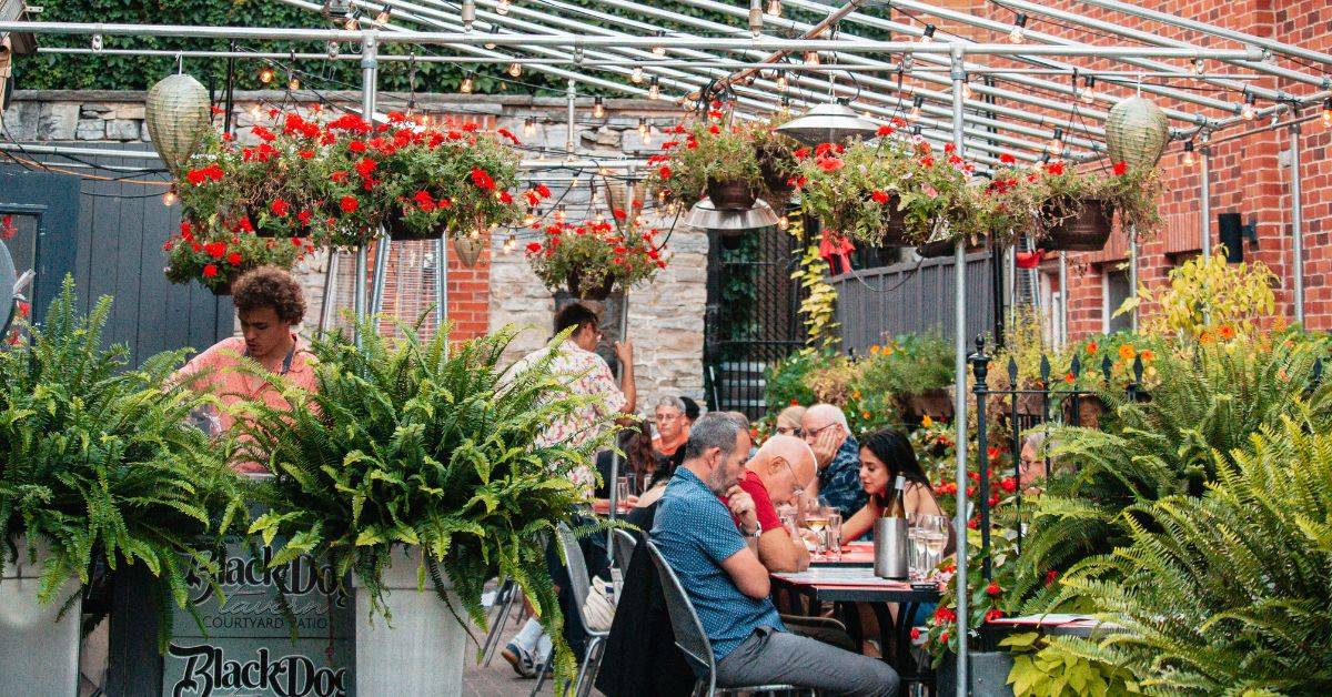 12 Hidden Patios You Didn't Know Existed in Downtown Kingston