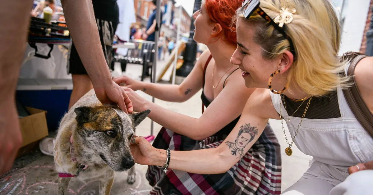 Celebrate Summer: 17 Things to do in August 2024 in Downtown Kingston