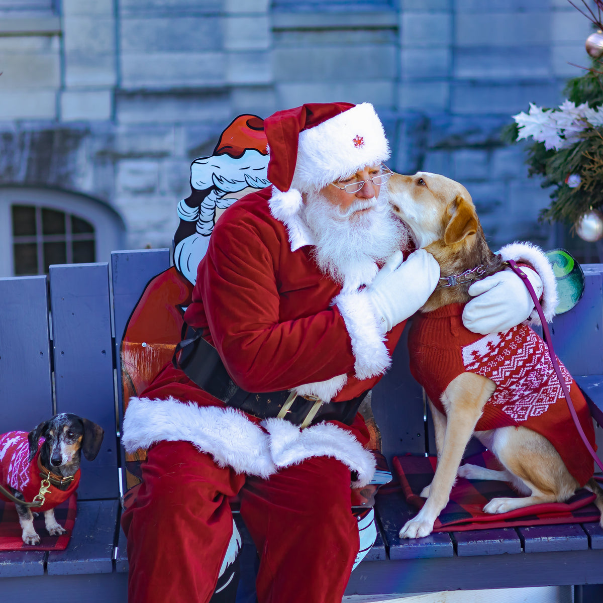 Santa Saturdays